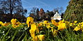 Blumenbeet im Mirabellgarten, Salzburg (6424508793).jpg